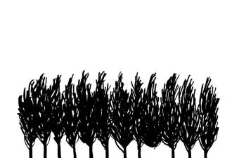 14428 1935531626 914 1280